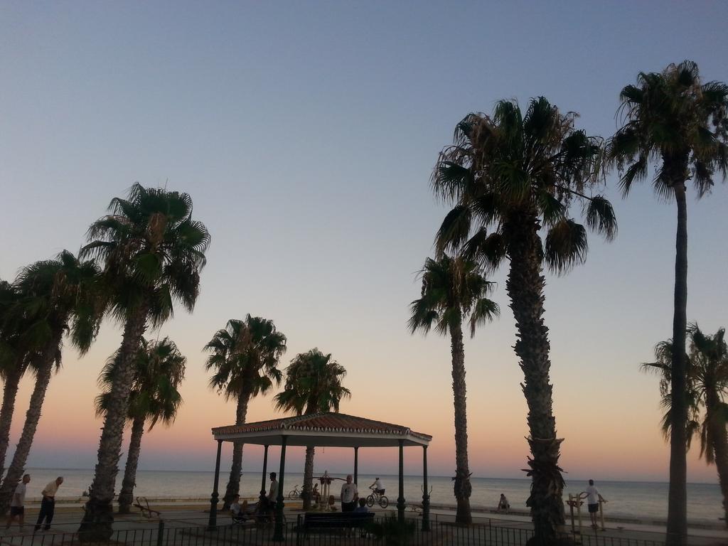 Apartamentos Alamos Málaga Oda fotoğraf